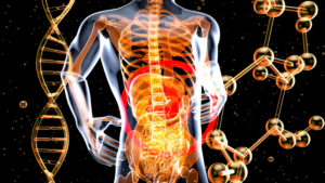 Physiothérapie à domicile à Genève