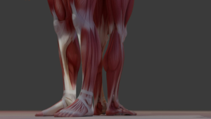 Physiothérapie à domicile à Genève
