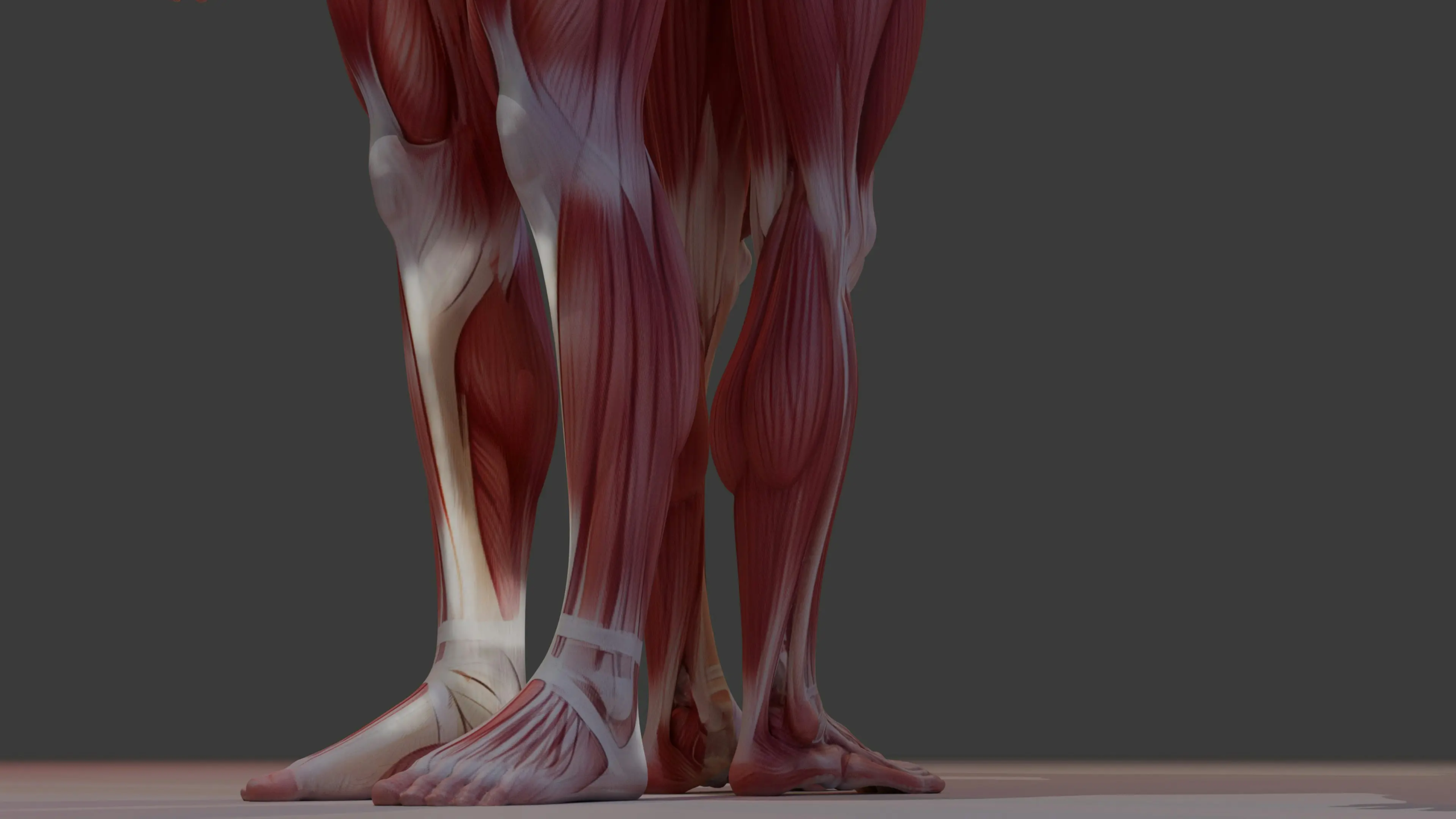Physiothérapie à domicile à Genève